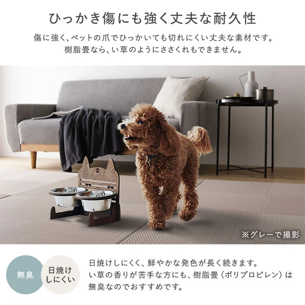 ひっかき傷にも強く丈夫な耐久性