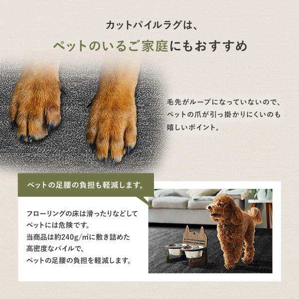 カットパイルラグは 、 ペットのいるご家庭にもおすすめ