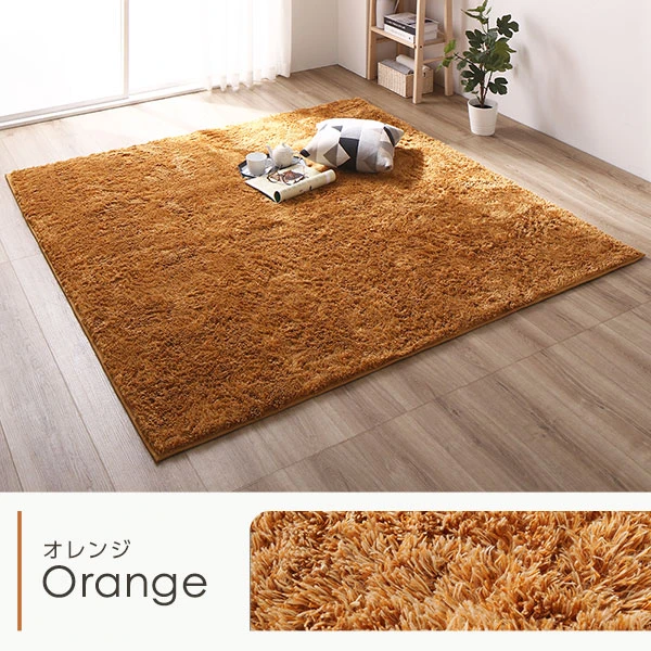 カラーバリエーション ・ オレンジ