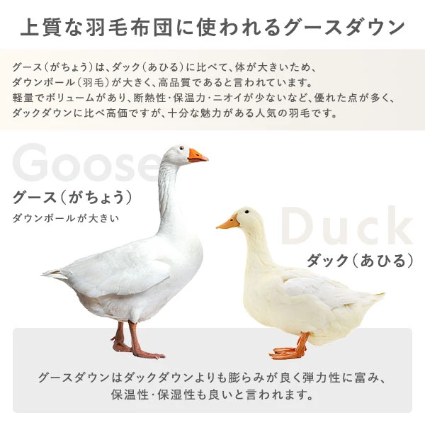 上質な羽毛布団に使われるグースダウン