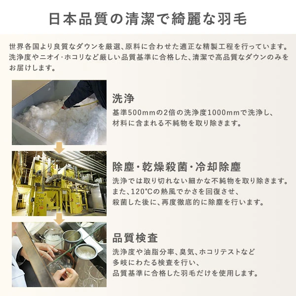 日本品質の清潔で綺麗な羽毛