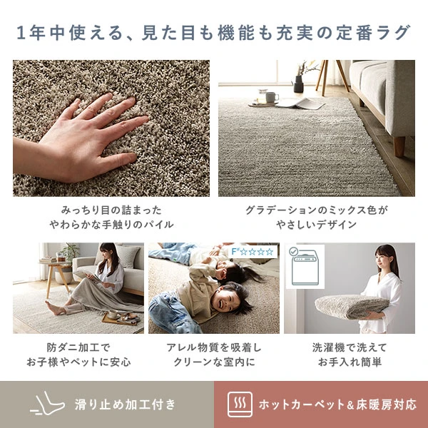 1年中使える 、 見た目も機能も充実の定番ラグ
